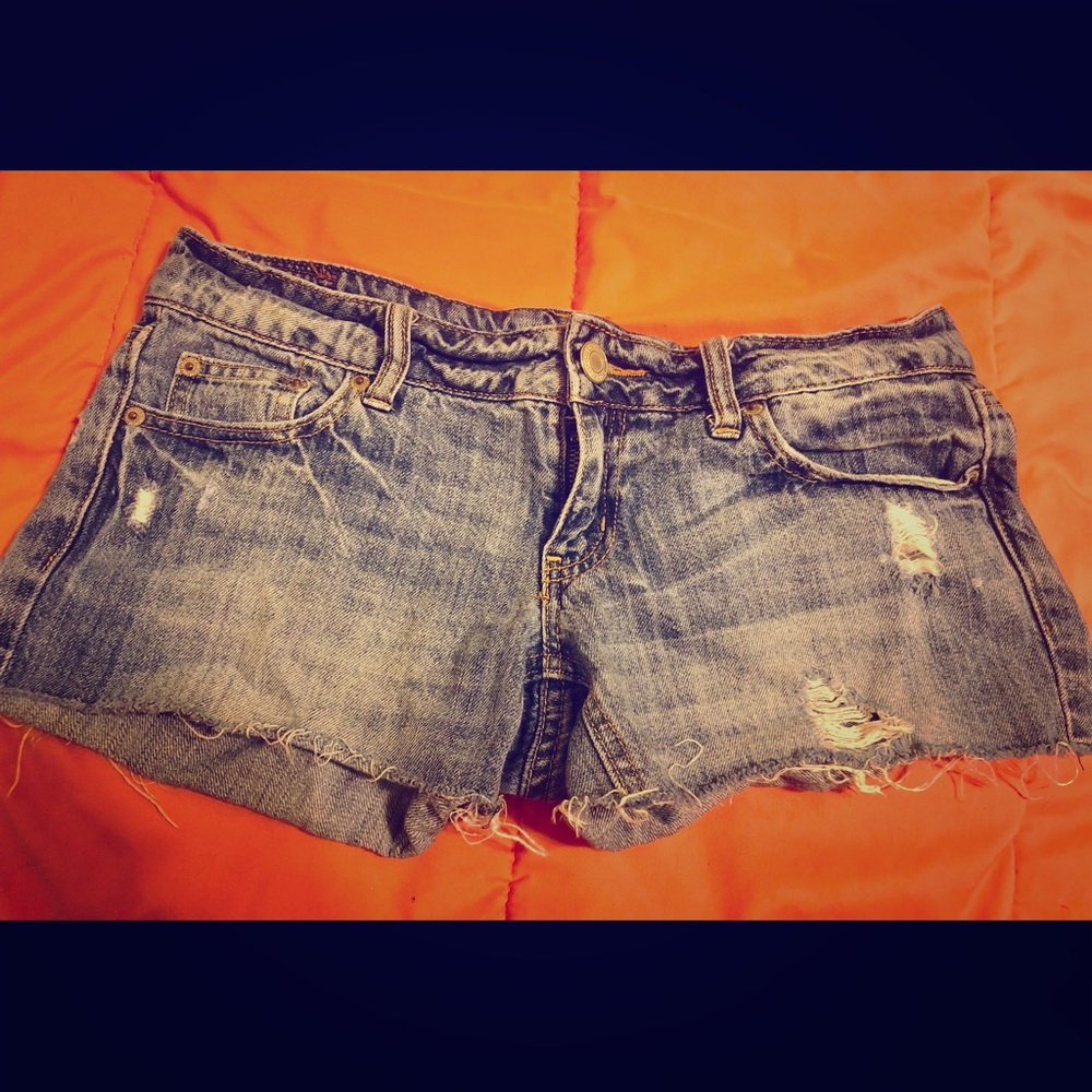 🌻 Shorts
